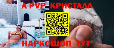 твердый Пугачёв