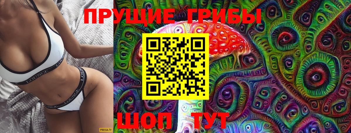 Петропавловск-Камчатский  Псилоцибиновые грибы GOLDEN TEACHER  купить наркотик  Вход с VPN 