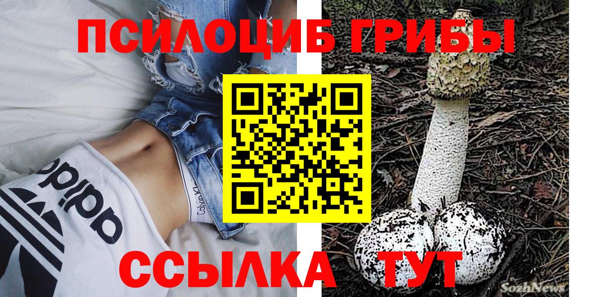 Галлюциногенные грибы Psilocybine cubensis Петропавловск-Камчатский